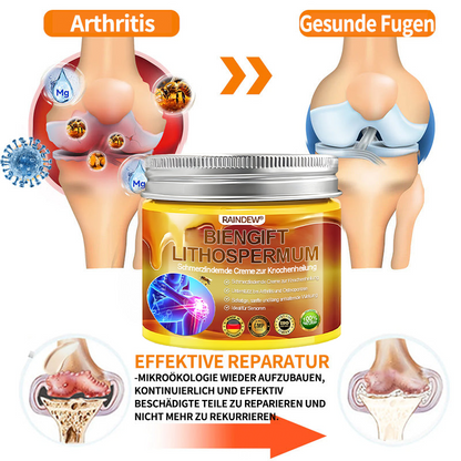🐝 Offizieller Online-Shop丨Purelora® Bee Venom & Lithospermum Comfort Cream Wenn Gehen, Stehen oder Schlafen unangenehm wird — tägliche Schmerzlinderung & Knochenkomfort für ältere Erwachsene