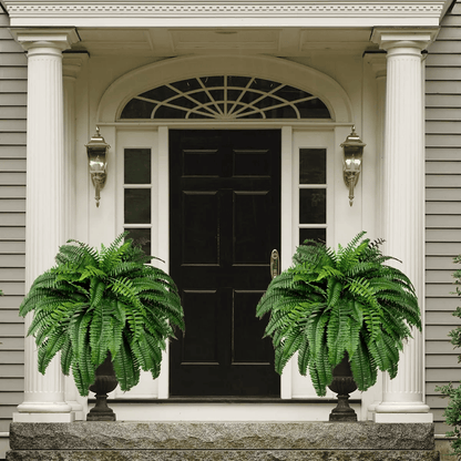 ❤️Last Day 75% OFF--UV Resistant Lifelike Artificial Boston Fern
