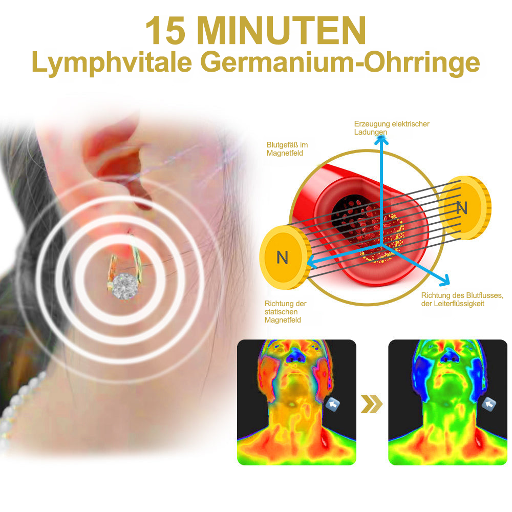 🔥WW Empfehlung – 80% Rabatt heute 丨 CZTICLE® Lymphvity MagneTherapy Germanium-Ohrringe