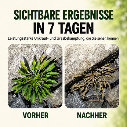 🔥2026 ANGEBOT – Schnell wirkendes natürliches Unkraut- & Grasvernichtungsspray
