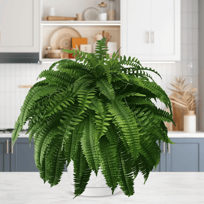 ❤️Last Day 75% OFF--UV Resistant Lifelike Artificial Boston Fern