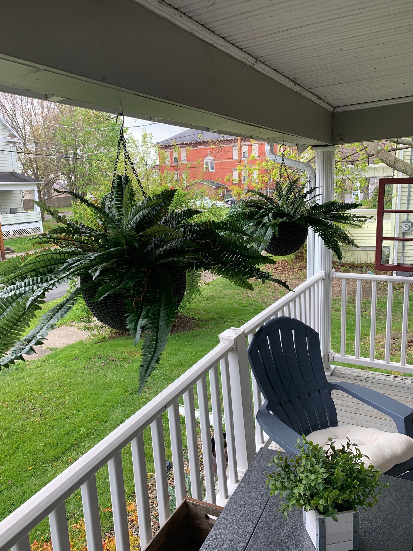 ❤️Last Day 75% OFF--UV Resistant Lifelike Artificial Boston Fern