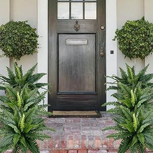 ❤️Last Day 75% OFF--UV Resistant Lifelike Artificial Boston Fern