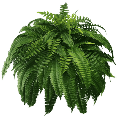 ❤️Last Day 75% OFF--UV Resistant Lifelike Artificial Boston Fern