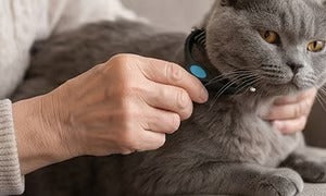 🐶  Doppelseitiger Tierhaarentferner – Schluss mit Haaren überall! (🔥 Nur heute: 80 % Rabatt) 🐾