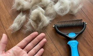 🐶  Doppelseitiger Tierhaarentferner – Schluss mit Haaren überall! (🔥 Nur heute: 80 % Rabatt) 🐾