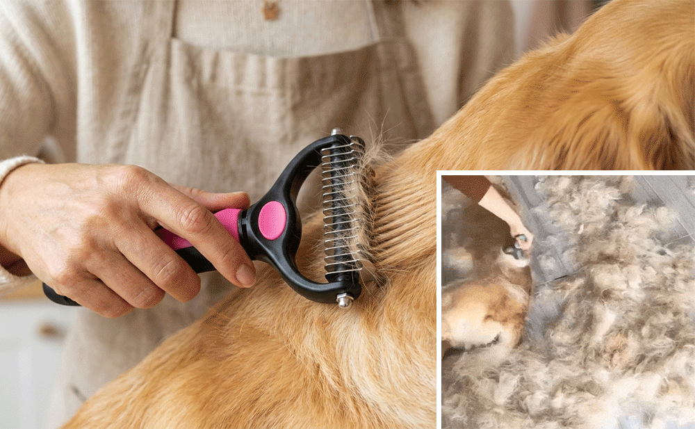 🐶  Doppelseitiger Tierhaarentferner – Schluss mit Haaren überall! (🔥 Nur heute: 80 % Rabatt) 🐾