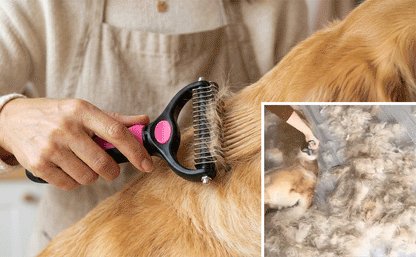 🐶  Doppelseitiger Tierhaarentferner – Schluss mit Haaren überall! (🔥 Nur heute: 80 % Rabatt) 🐾